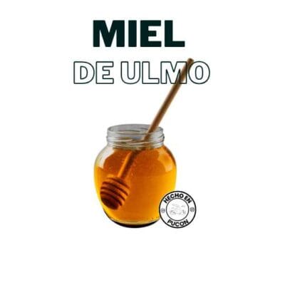 Miel de Ulmo artesanal