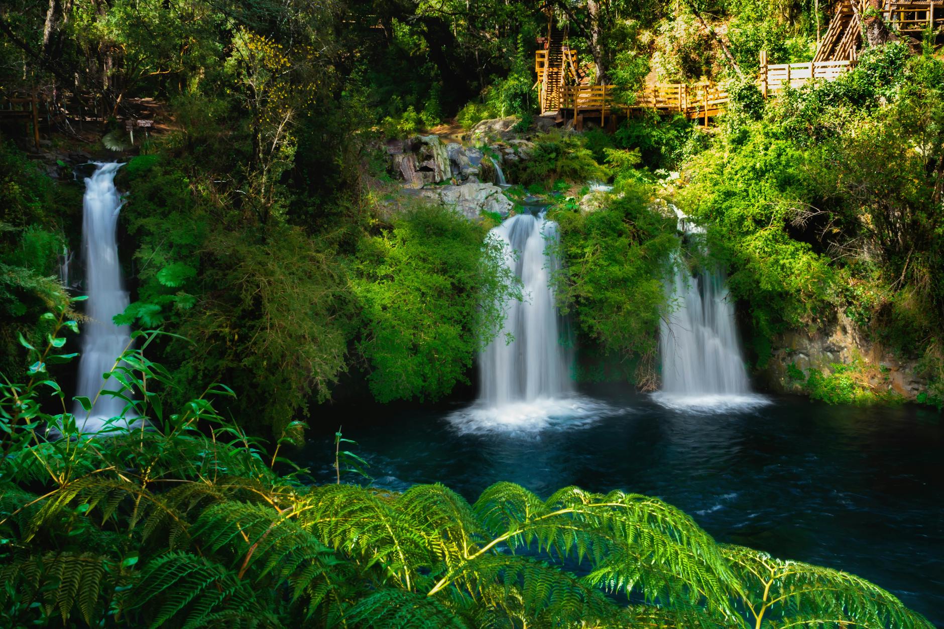 waterfalls in the forest